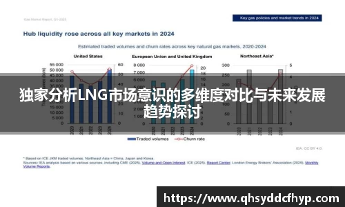 独家分析LNG市场意识的多维度对比与未来发展趋势探讨