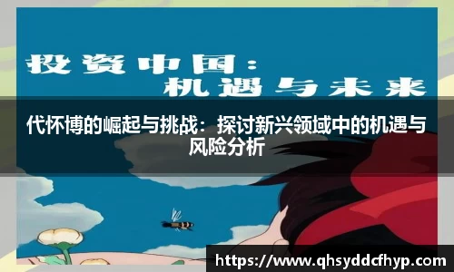 代怀博的崛起与挑战：探讨新兴领域中的机遇与风险分析