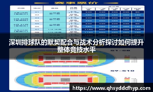 深圳排球队的默契配合与战术分析探讨如何提升整体竞技水平